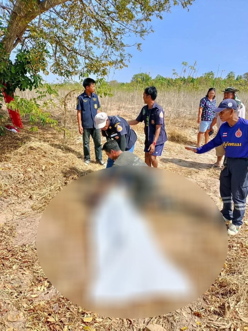 Chachoengsao man killed by wild elephant near cassava field | News by Thaiger